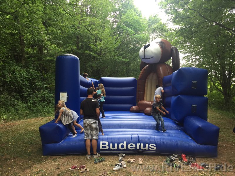 Mittsommerfest 2017 – Bild 25