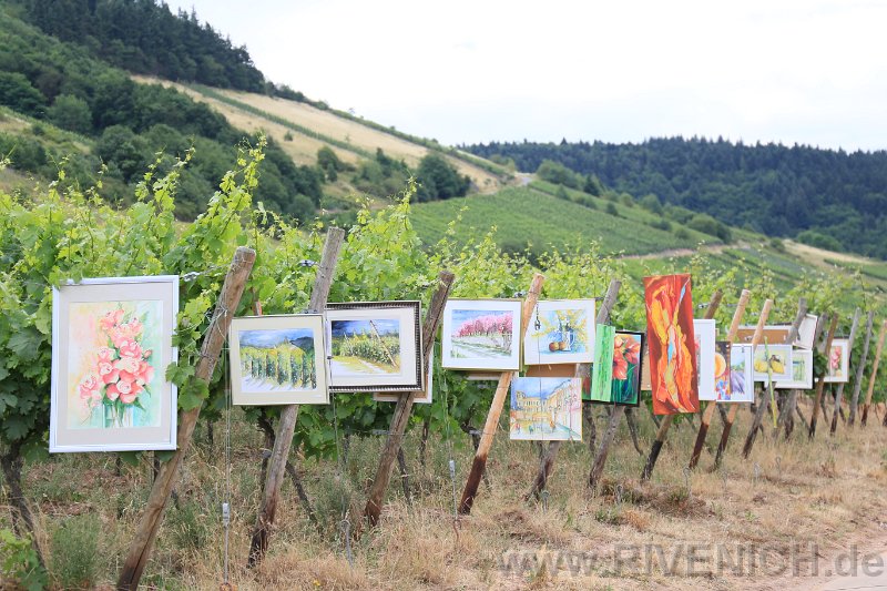 Mittsommerfest 2017 – Bild 87