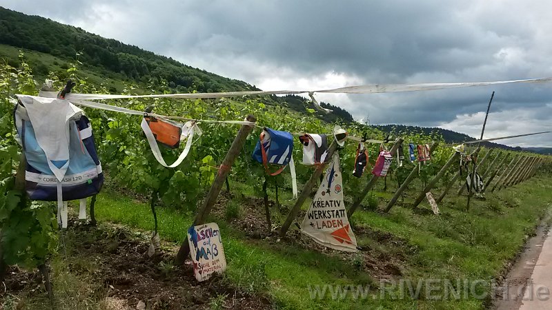 03 Sonntags in den Weinbergen – Bild 34