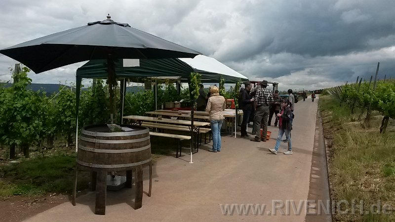 03 Sonntags in den Weinbergen – Bild 35