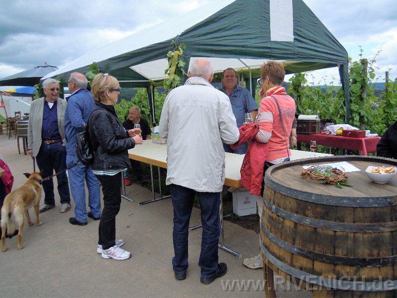 03 Sonntags in den Weinbergen – Bild 16