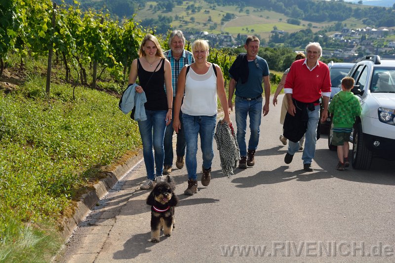 03 Sonntags in den Weinbergen – Bild 26